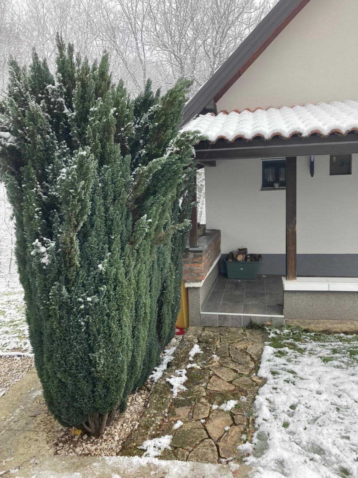 Holiday Home Tunnel Ravne Visoko Εξωτερικό φωτογραφία